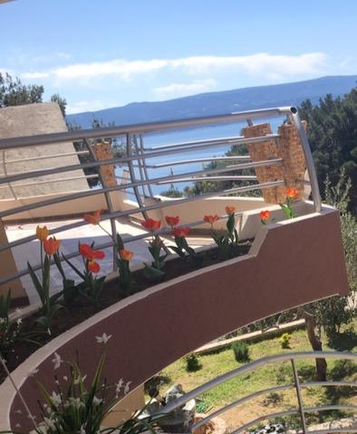Villa Perkovic Mimice Luaran gambar